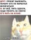 Без описания
