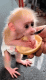 67e95f2ddf9924.216949181743347501_67e95f2ddf9964.70896972.gif