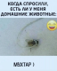 Без описания