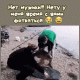 Без описания