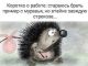 Без описания