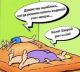 Без описания