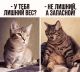 Без описания