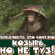 Без описания