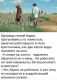 Без описания
