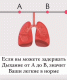 Без описания
