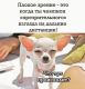 Без описания