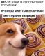 Без описания