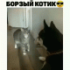 Без описания