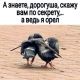 Без описания