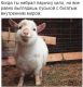 Без описания