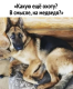 Без описания