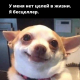 Без описания
