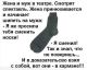 Без описания