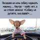 Без описания