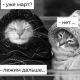 Без описания