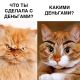 Без описания