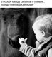 Без описания