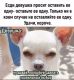 Без описания