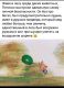 Без описания