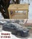 Без описания