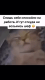 683d6e55838504.888312881748856405_683d6e558385b1.05125822.gif
