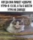 Без описания