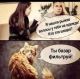 Без описания
