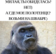 68eb3c90822115.363521891760246928_68eb3c908221a9.89765315.png