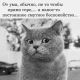 Без описания
