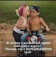Без описания