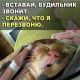 Без описания
