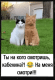 Без описания