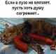 Без описания