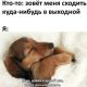 Без описания