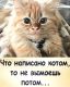 Без описания