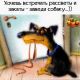 Без описания