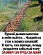 Без описания