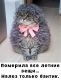 Без описания