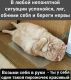 Без описания