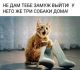 Без описания