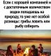 Без описания
