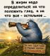 Без описания