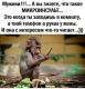 Без описания