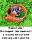 Без описания