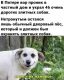 Без описания