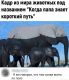 Без описания