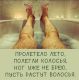 Без описания