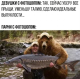 Без описания