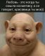 Без описания